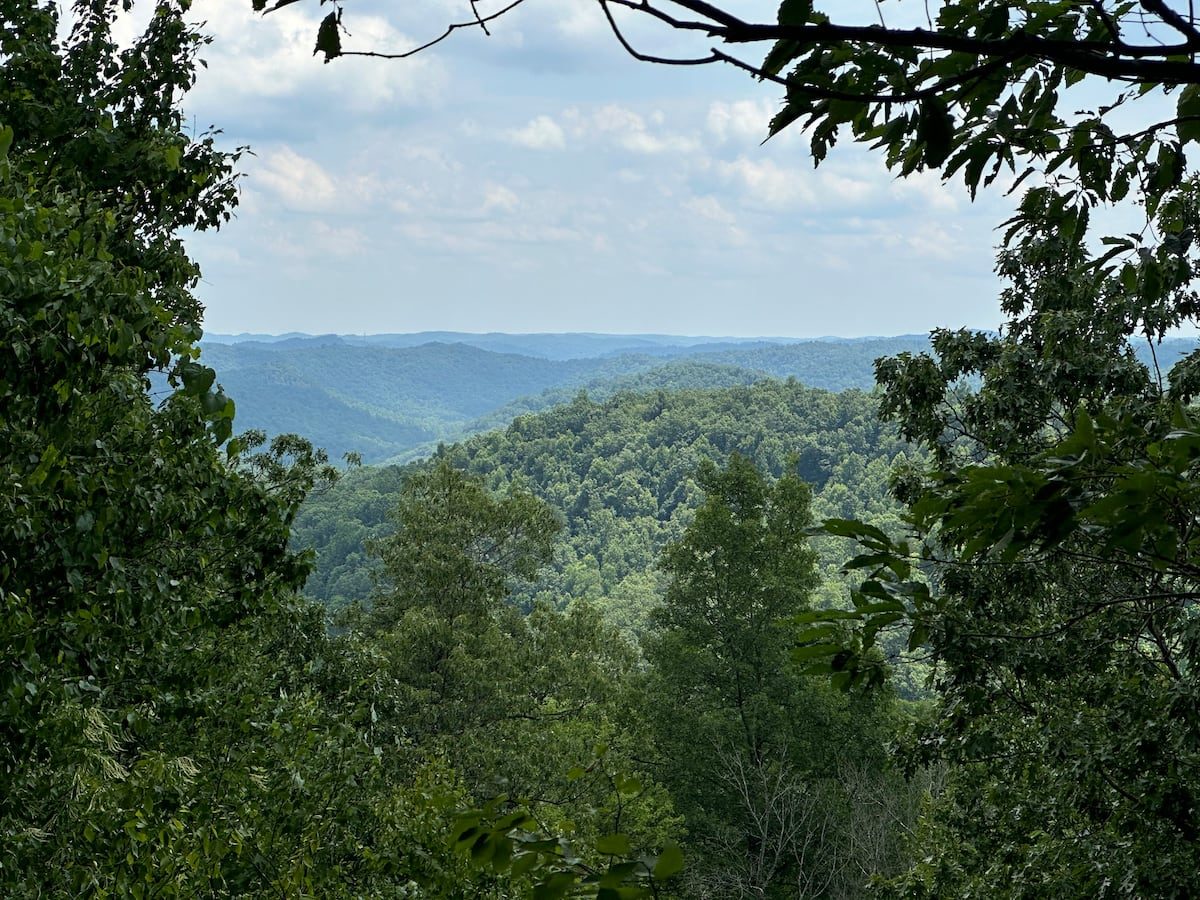 Mountain view over forested ridges