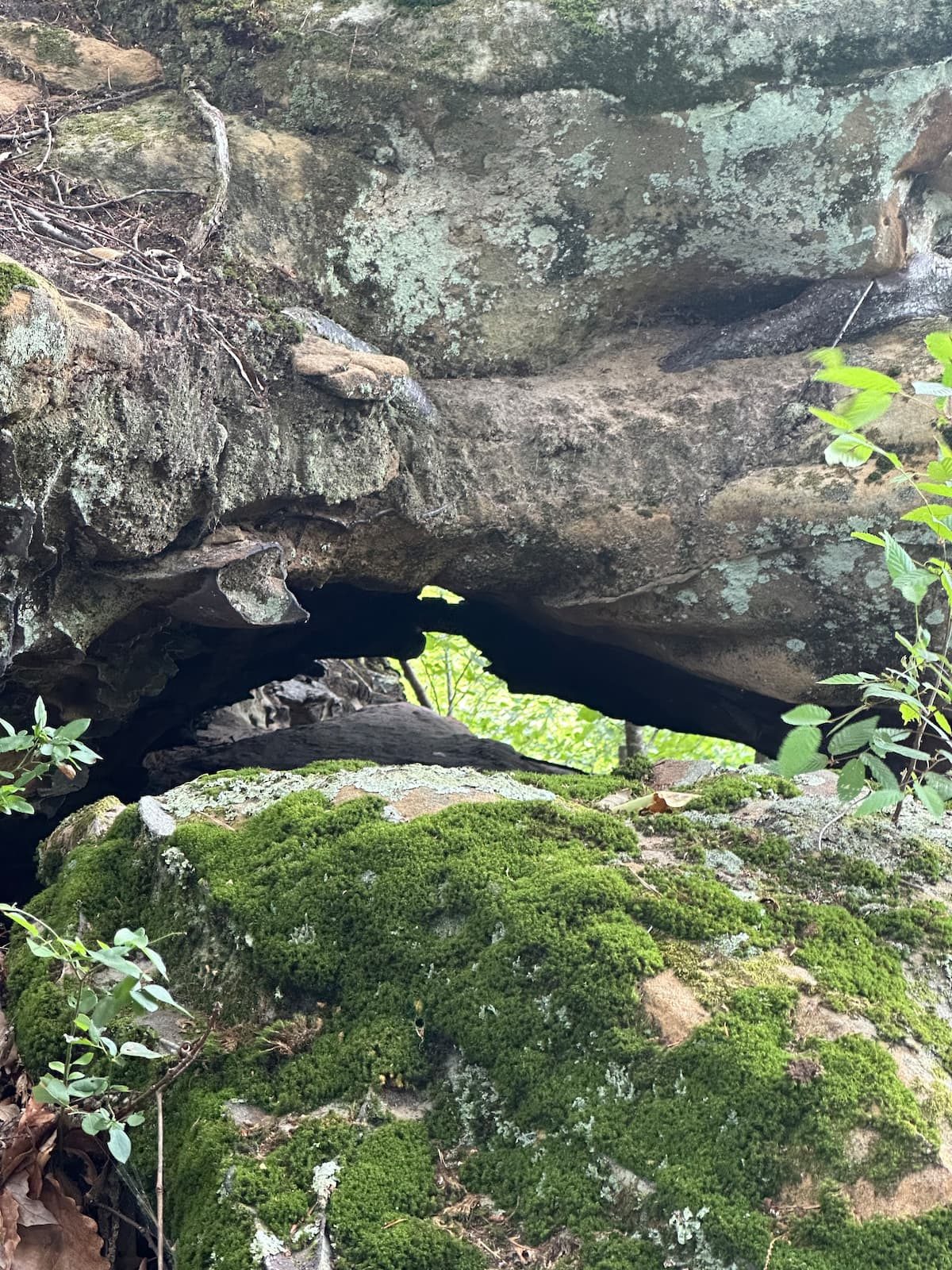 Moss-covered sandstone rock formation on the property